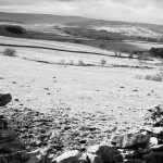English moor through the stone wall