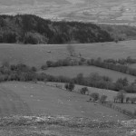 land