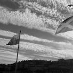 flags