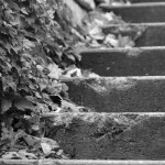 steps